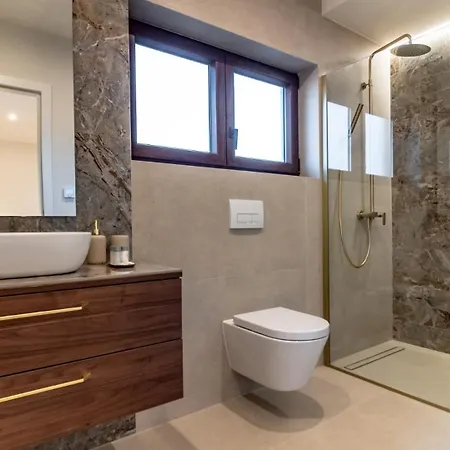 Villa Modern Istrian Lere With Pool, Bbq Lounge & Activities In Sisan *