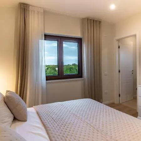 Modern Istrian Lere With Pool, Bbq Lounge & Activities In Sisan